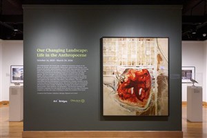 Our Changing Landscape